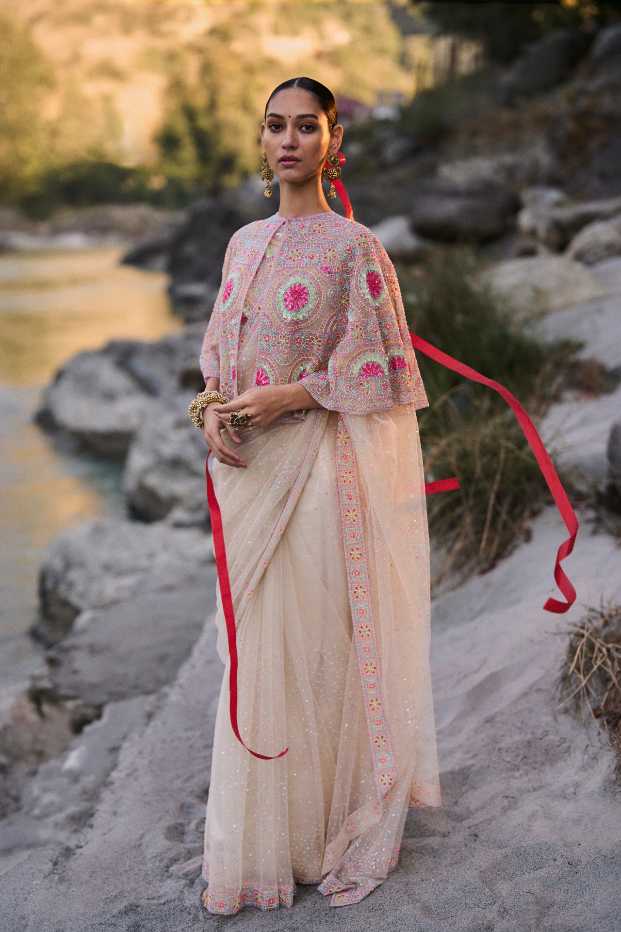 Multi Cutbeads Embroidered Net Saree