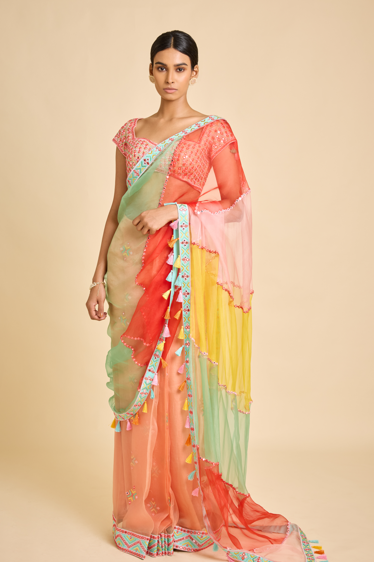 Multi Color Phulkari Organza Saree
