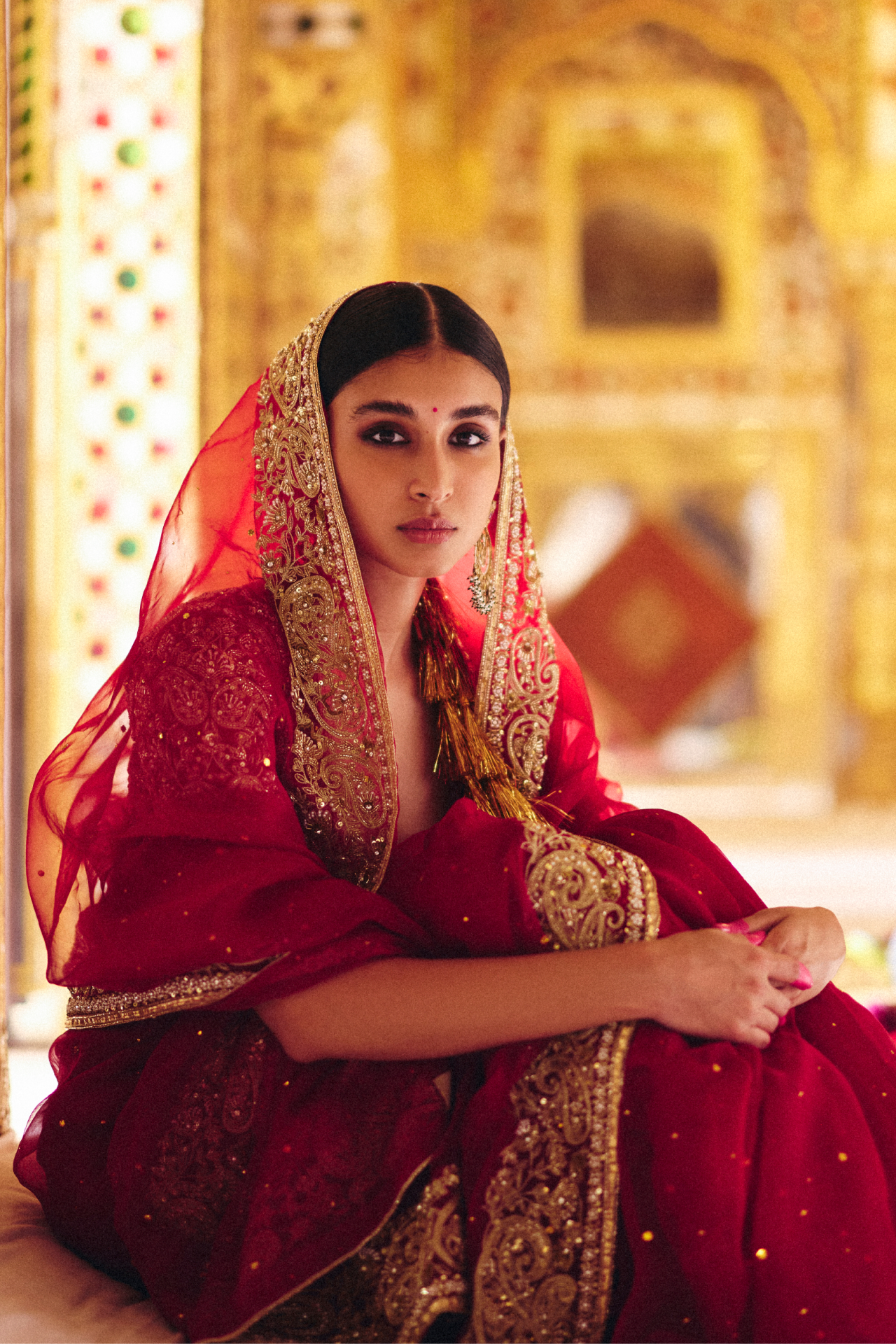 Red Embroidered Choli